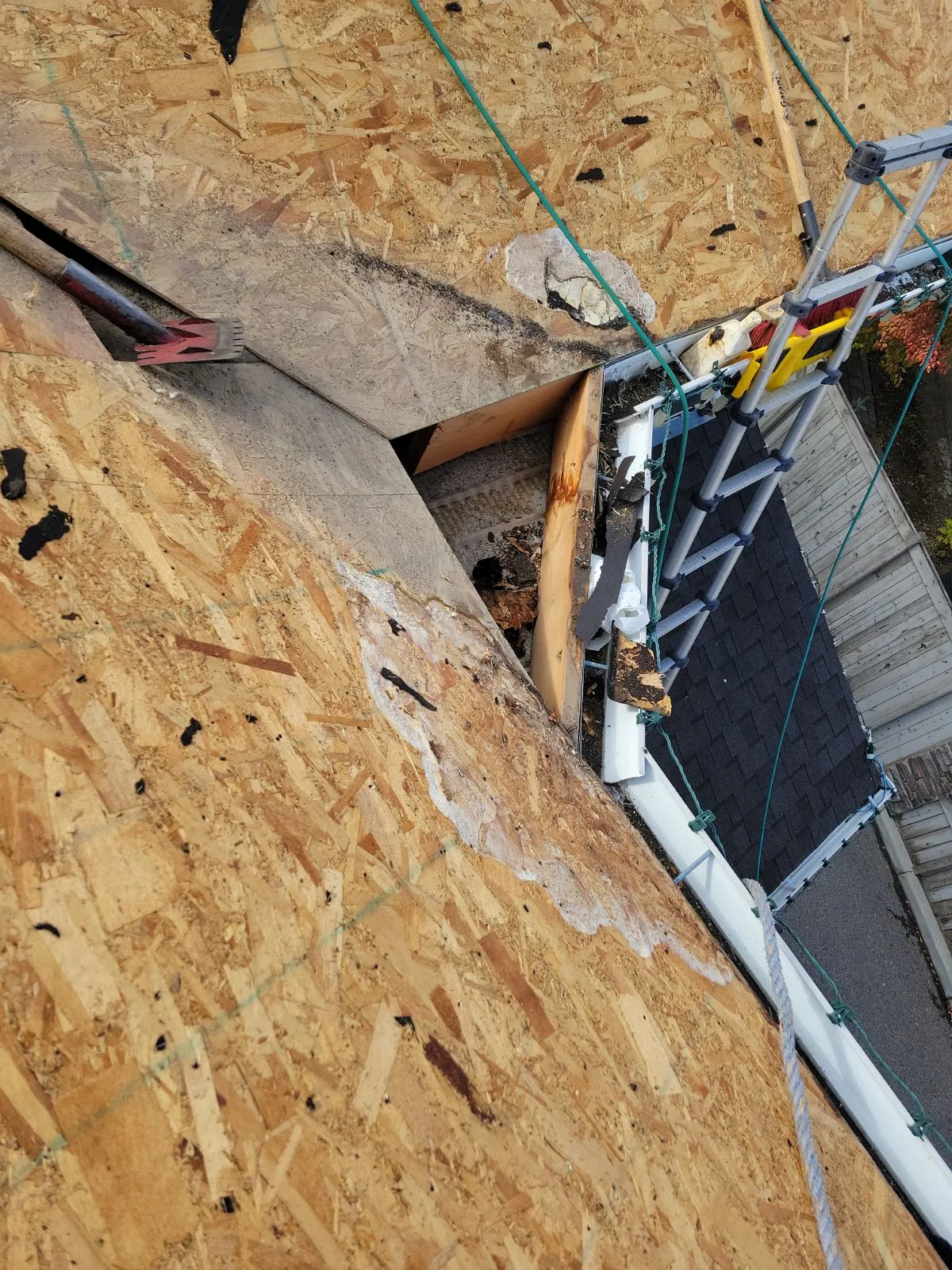 Water-damaged OSB sheathing and rotted eave board in Calgary