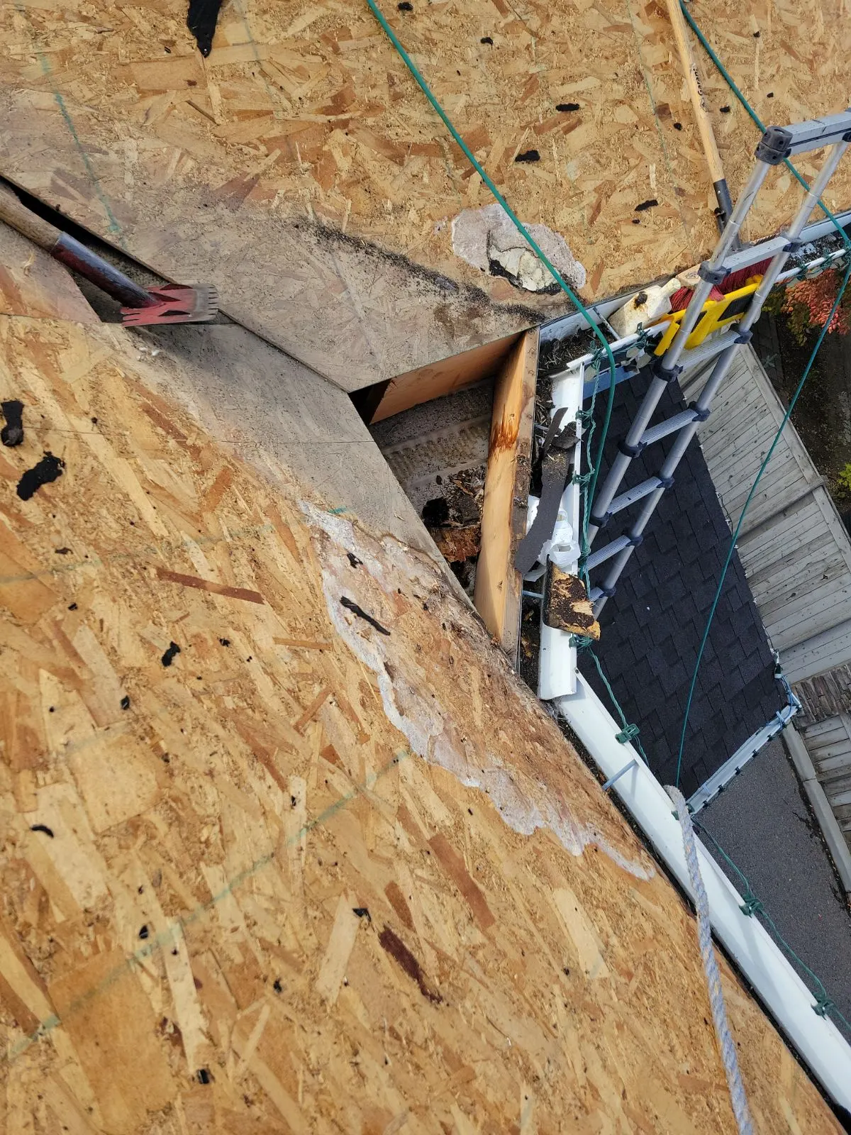Closeup of frost and water damage on roof sheathing, attic rain in a Calgary home