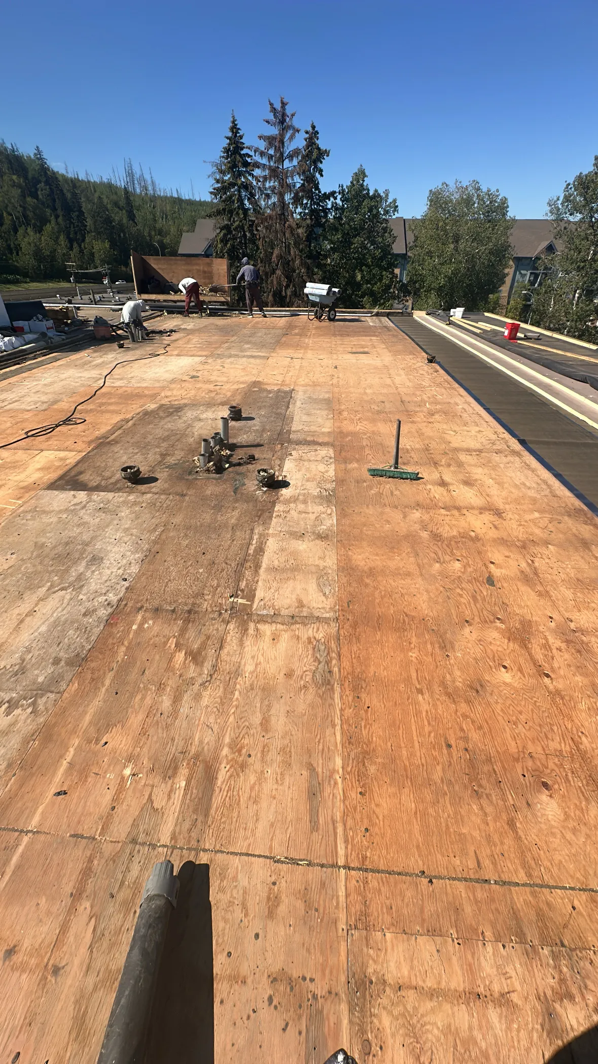 Commercial flat roof plywood sheathing prep with mountain backdrop in Calgary