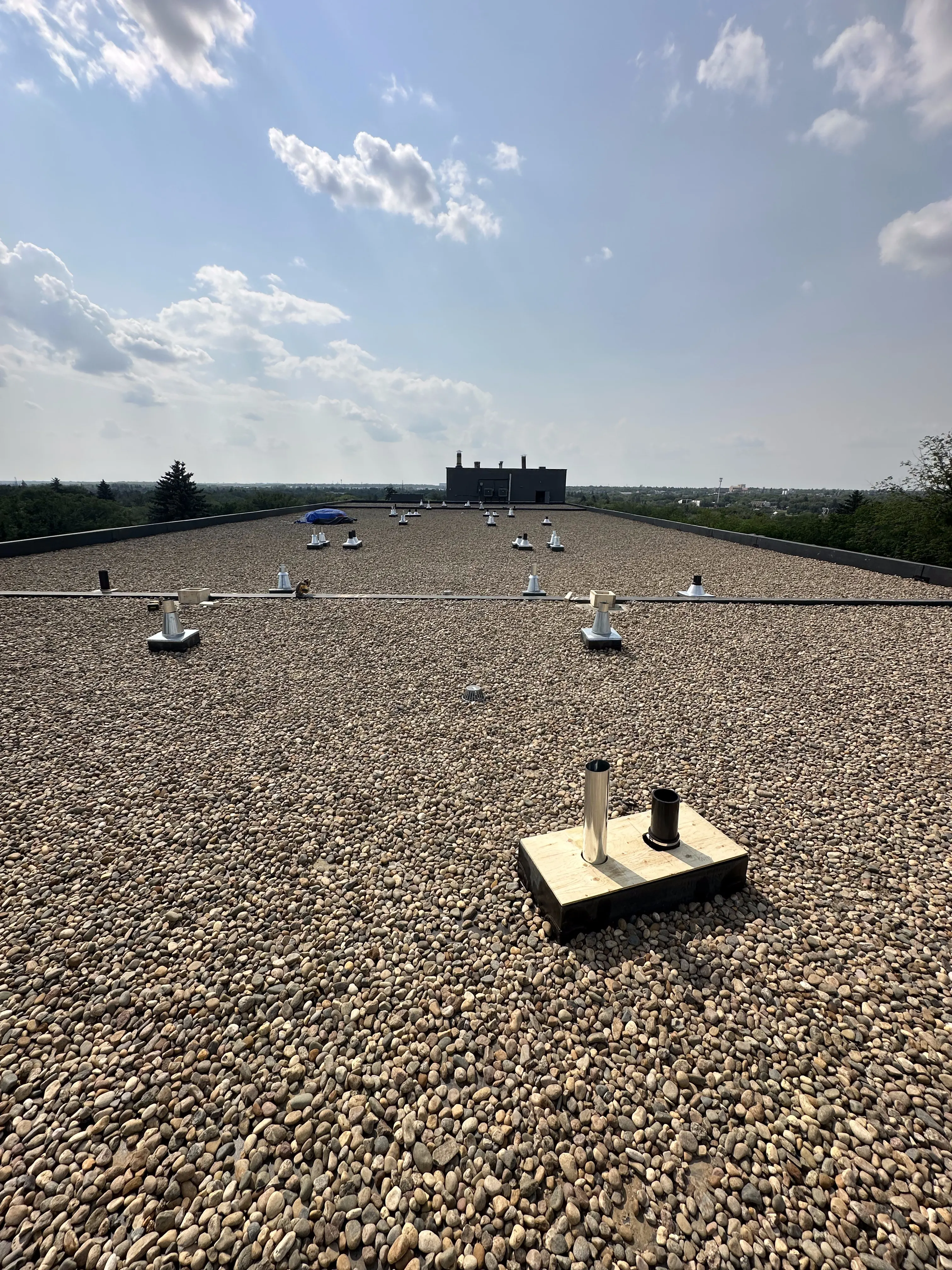 Large Calgary commercial flat roof with gravel ballast and vent stacks