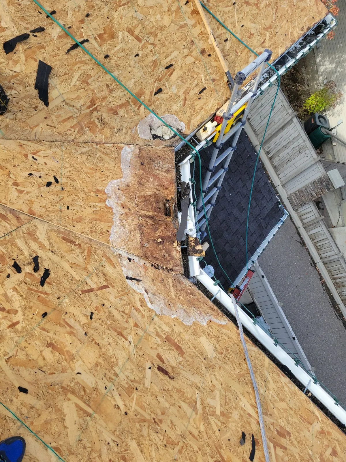 Tear-off revealing rotted OSB sheathing near eave on Calgary home